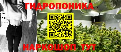 метадон Новозыбков
